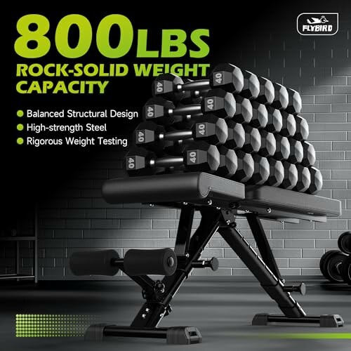 Adjustable weight bench with stacked dumbbells and text highlighting 800lbs capacity.